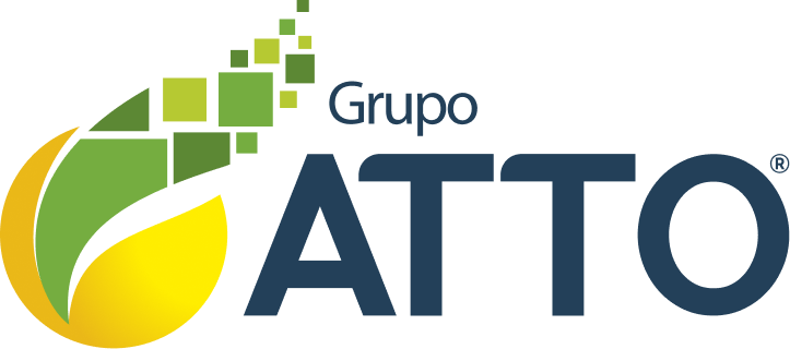 Grupo Atto